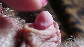 Intense Close-Up Of My Throbbing Clitoris Tip During Hardcore Sex